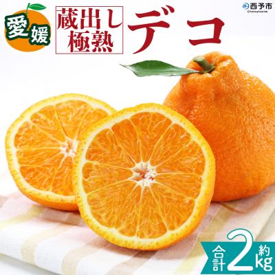 ふるさと納税 西予市 <蔵出し極熟デコ 約2kg 三代目みかん職人>でこぽん デコポン 不知火 えひめ
