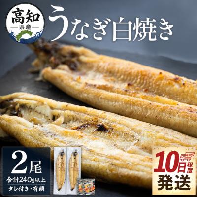 ふるさと納税 香南市 高知県産鰻の白焼き120〜130g 2尾 蒲焼きのタレ2袋 エコ包装 yw-0126