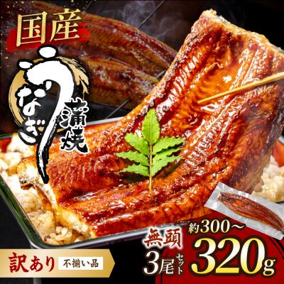 ふるさと納税 宗像市 [訳あり]国産うなぎ蒲焼 3尾 300g以上[魚住商店]_HA1997-CP