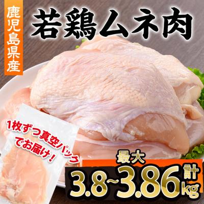 ふるさと納税 曽於市 鹿児島県産若鶏ムネ肉不定貫 計3.8〜3.86kg