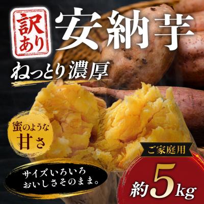 ふるさと納税 大月町 [訳あり]さつまいも 熟成 安納芋 約5kg 国産 安納いも スイーツ おやつ 栽培期間中農薬不使用