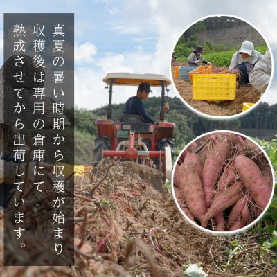 ふるさと納税 大月町 【訳あり】さつまいも 熟成 安納芋 約5kg 国産 安納いも スイーツ おやつ 栽培期間中農薬不使用 |  | 01