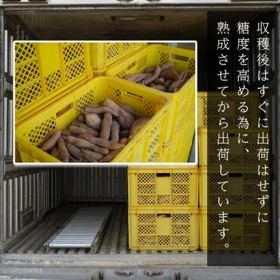 ふるさと納税 大月町 【訳あり】さつまいも 熟成 安納芋 約5kg 国産 安納いも スイーツ おやつ 栽培期間中農薬不使用 |  | 03