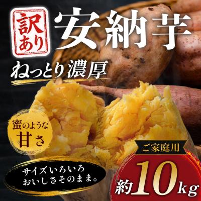 ふるさと納税 大月町 [訳あり]さつまいも 熟成 安納芋 約10kg 国産 安納いも スイーツ おやつ 栽培期間中農薬不使