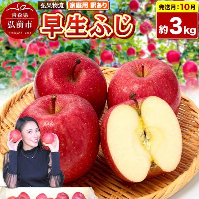 ふるさと納税 弘前市 [26年10月発送]りんご 早生ふじ[訳あり]約3kg 家庭用|24_hkb-170301a