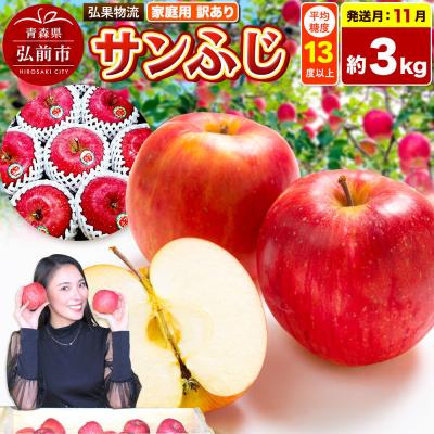 ふるさと納税 弘前市 [26年11月発送]りんご サンふじ[訳あり]約3kg|24_hkb-190301a