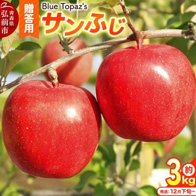 ふるさと納税 弘前市 [26年12月下旬〜発送]りんご サンふじ[贈答用]約3kg|24_bts-010301be