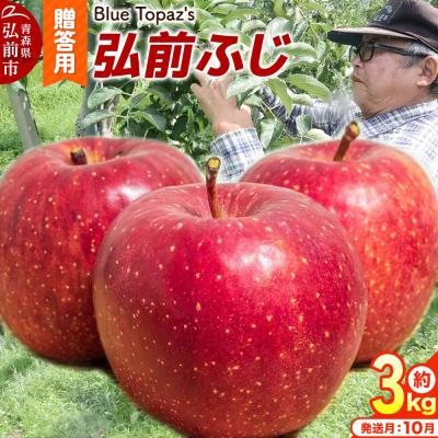ふるさと納税 弘前市 [26年10月中旬〜発送]りんご 弘前ふじ[贈答用]約3kg|24_bts-020301bc