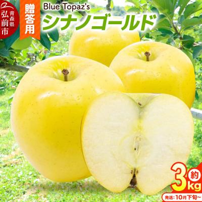 ふるさと納税 弘前市 [26年10月下旬〜発送]りんご シナノゴールド[贈答用]約3kg|24_bts-030301bc