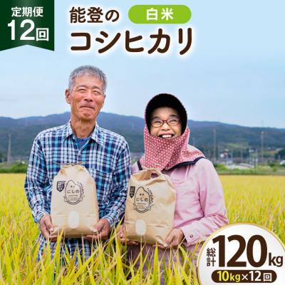 ふるさと納税 宝達志水町 [期間限定発送] 米 定期便 コシヒカリ 白米 10kg 12回 総計120kg