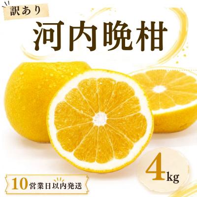 ふるさと納税 愛南町 [10営業日以内発送]訳あり 河内晩柑 ばんかん 約 4kg 不揃い マルエム直販 愛媛県 愛南町