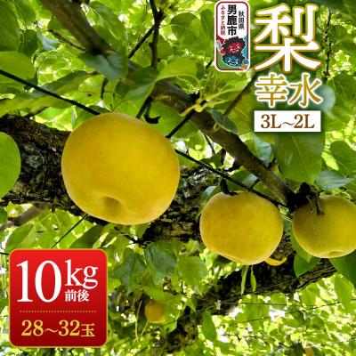 ふるさと納税 男鹿市 [先行受付] 梨 幸水 10kg前後 (3L〜2L) 28〜32玉|23_nhn-081001
