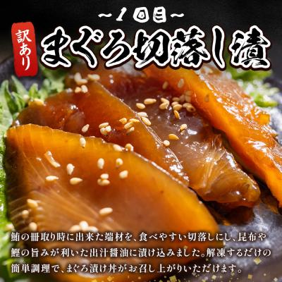 ふるさと納税 香南市 [3回定期便]マグロ かつお堪能定期便 Wda-0055