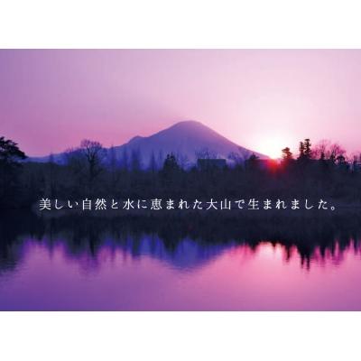 ふるさと納税 米子市 <大山ハム>食の匠工房6種12品詰合せ TK-30FNG_W【大山ブランド会】 |  | 02