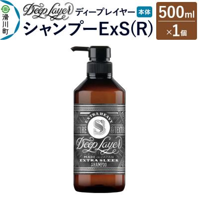ふるさと納税 滑川町 ディープレイヤー シャンプー ExS 500mL×1個|19_sss-250101