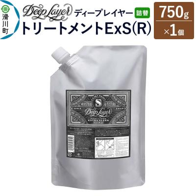 ふるさと納税 滑川町 ディープレイヤー トリートメント ExS 詰替 750g×1個|19_sss-320101