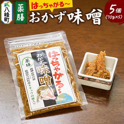 ふるさと納税 八峰町 おかず味噌 はっちゃがる 70g×5個|16_nhm-010501