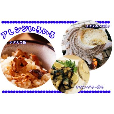 ふるさと納税 下関市 冷凍 さざえセットB (冷凍スチーム&お造り&つぼ焼き) 下関 《さわ水産:SW》SW-SZ007B |  | 01