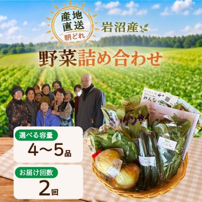 ふるさと納税 岩沼市 [定期便2ヶ月]宮城県 岩沼産 産地直送 朝どれ 新鮮野菜 4〜5種類 詰め合わせセット