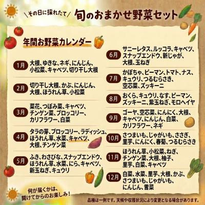 ふるさと納税 岩沼市 【定期便2ヶ月】宮城県 岩沼産 産地直送 朝どれ 新鮮野菜 4〜5種類 詰め合わせセット |  | 01