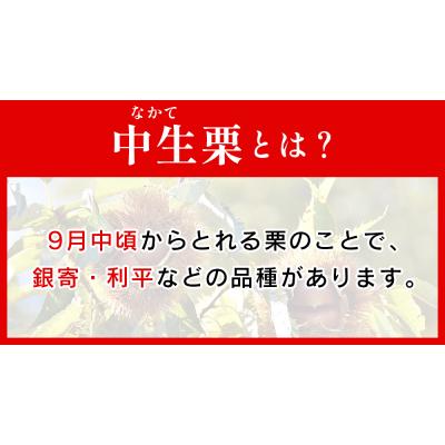 ふるさと納税 西予市 <中生栗 栗 約2kg 愛媛県西予市産 2Lまたは3Lサイズ>えひめ くり |  | 01