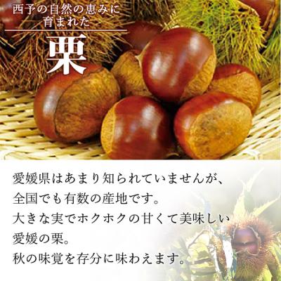 ふるさと納税 西予市 <中生栗 栗 約2kg 愛媛県西予市産 2Lまたは3Lサイズ>えひめ くり |  | 02