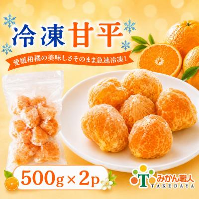 ふるさと納税 愛南町 冷凍甘平 500g×2袋 冷凍柑橘 みかん職人武田屋