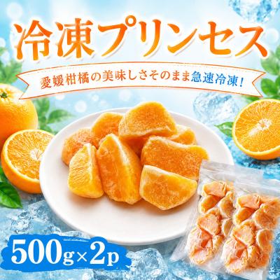 ふるさと納税 愛南町 冷凍プリンセス 500g×2袋 冷凍柑橘 みかん職人武田屋