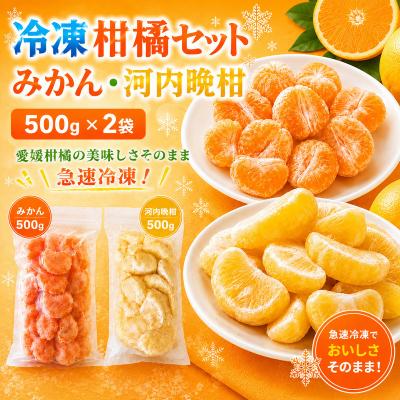 ふるさと納税 愛南町 冷凍柑橘セット 愛媛みかん・河内晩柑 500g×2袋 みかん職人武田屋