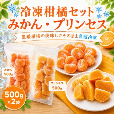ふるさと納税 愛南町 冷凍柑橘セット 愛媛みかん・プリンセス 500g×2袋 みかん職人武田屋