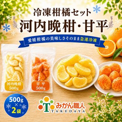 ふるさと納税 愛南町 冷凍柑橘セット 河内晩柑・甘平 500g×2袋 みかん職人武田屋