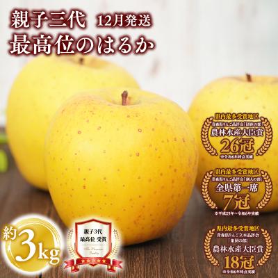 ふるさと納税 平川市 ≪12月発送≫ 親子三代最高位のはるか 約3kg [青森県 平川市 釈迦のりんご園]