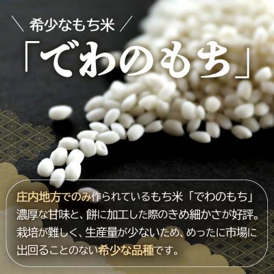 ふるさと納税 庄内町 【R8.11月発送】JAあまるめ 杵つき切りもち 500g×1袋 個包装 |  | 01