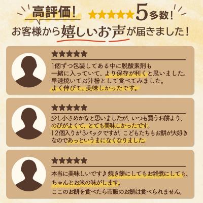 ふるさと納税 庄内町 【R8.12月発送】JAあまるめ 杵つき切りもち 500g×1袋 個包装 |  | 02