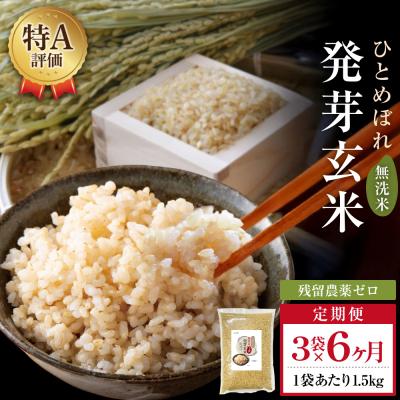 ふるさと納税 玖珠町 特A ひとめぼれ 米 残留農薬ゼロ 発芽玄米 1.5kg × 3袋 6ヶ月 毎月定期便 無洗米