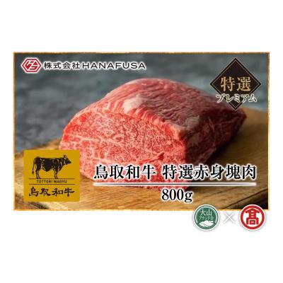 ふるさと納税 米子市 [HANAFUSA] 鳥取和牛特選赤身塊肉(大山ブランド会)