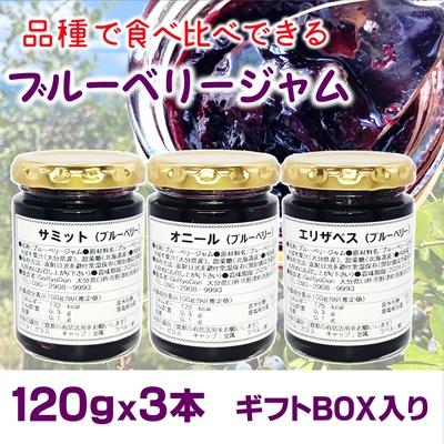ふるさと納税 臼杵市 ブルーベリージャム3点セット(ギフトボックス付)120g×3本 栽培期間中農薬不使用