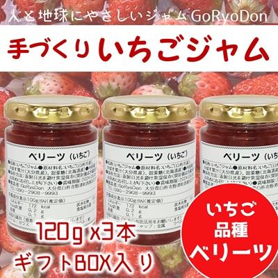 ふるさと納税 臼杵市 臼杵産ベリーツのジャム(120g)3本セット ギフトボックス付き いちご 苺