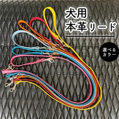ふるさと納税 春日井市 犬用・本革リード 色:ピンク