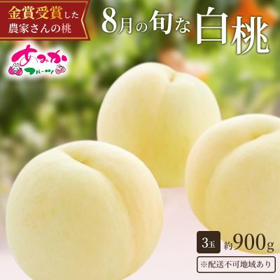 ふるさと納税 赤磐市 桃 2026年 先行予約 8月の旬な 白桃 をお届け!3玉 約900g[NO5765-1559]