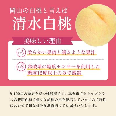 ふるさと納税 赤磐市 桃 2027年 先行予約 清水 白桃 をお届け!3玉 約