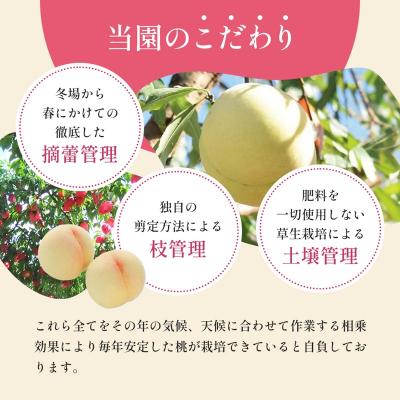注文順収穫！自然肥料のみ！こだわりの清水白桃 ふるさと納税 赤磐市 桃 2027年 先行予約 清水 白桃 をお届け!3玉 約