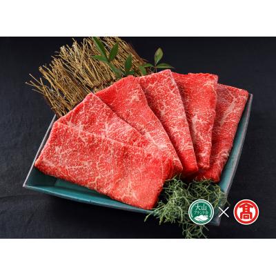 ふるさと納税 米子市 [大山物語]氷温熟成 鳥取和牛すき焼き用 500g(大山ブランド会)