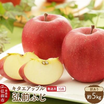 ふるさと納税 弘前市 [26年10月発送]りんご 弘前ふじ[訳あり]約5kg|24_kta-160501h