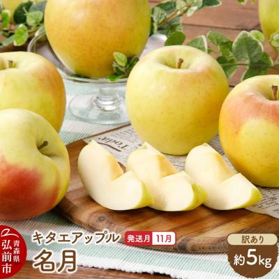ふるさと納税 弘前市 [26年11月発送]りんご 名月[訳あり]約5kg|24_kta-170501i