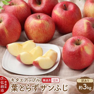 ふるさと納税 弘前市 [26年12月発送]りんご 葉取らず サンふじ[訳あり]約3kg|24_kta-030301j