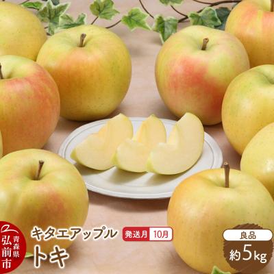 ふるさと納税 弘前市 [26年10月発送]りんご トキ[良品]約5kg|24_kta-120501h