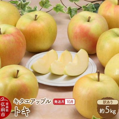 ふるさと納税 弘前市 [26年10月発送]りんご トキ[訳あり]約5kg|24_kta-130501h