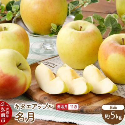 ふるさと納税 弘前市 [26年11月発送]りんご 名月[良品]約5kg|24_kta-140501i