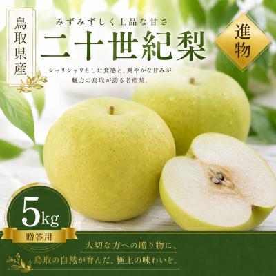 ふるさと納税 米子市 [予約受付中]有梨の実石田 二十世紀梨 進物用5kg
